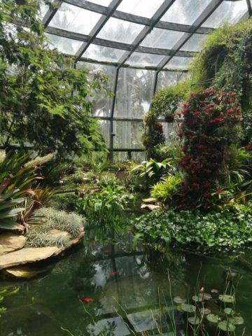 Evento Erasmus+ EACEA en Bogotá, Colombia. Presentación del proyecto DigiBuild